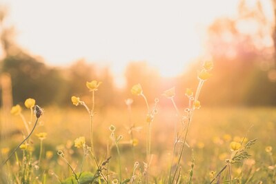 robin-mathlener-jdem-eqthtq-unsplash